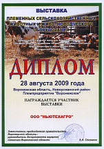 О компании, галерея дипломов и наград 49