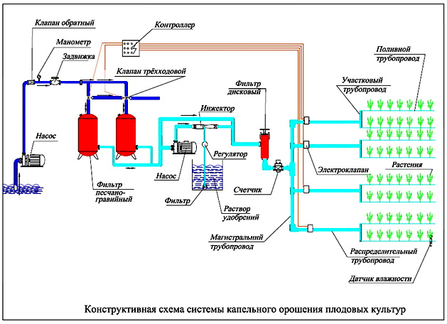 схема капельного орошения