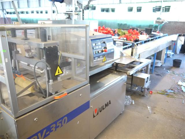 Флоупакер Ulma PV350 с входным конвейером