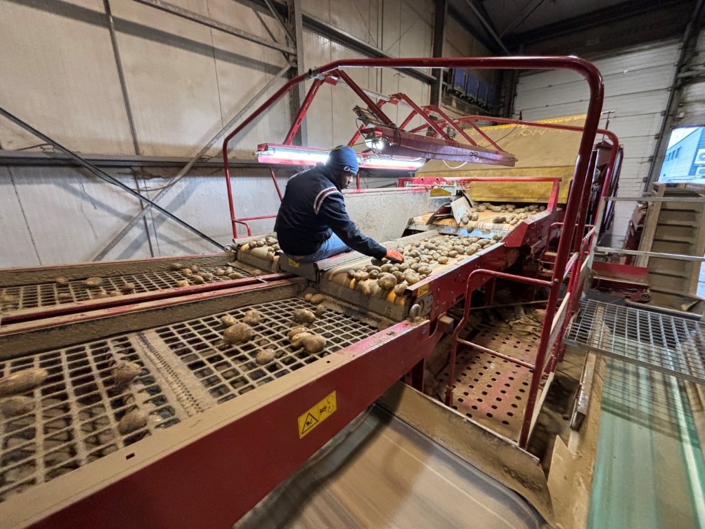 Grimme RH24 - 60 Combi Приемный бункер с предварительным сортировщиком и инспекционным столом