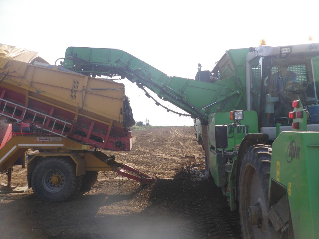 Spinnekop Combine Приемный бункер с очистителем, инспекционным конвейером и подъемником