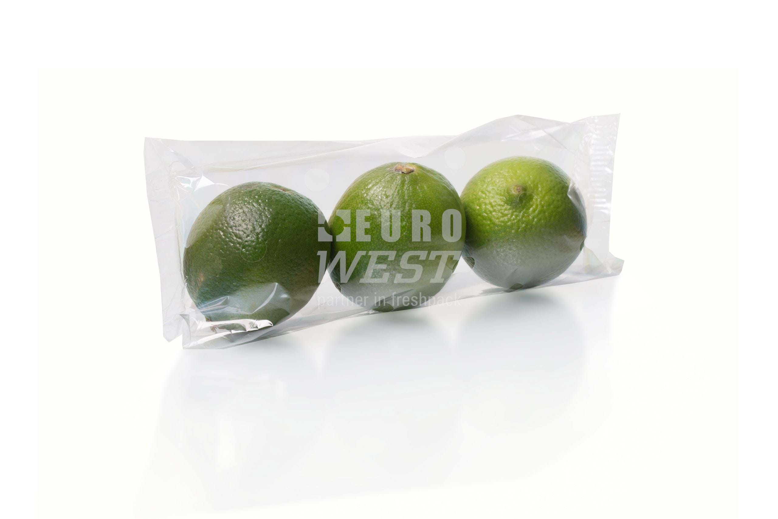 ��������� ����-��� Ulma Florida ��� ������� ��� �����