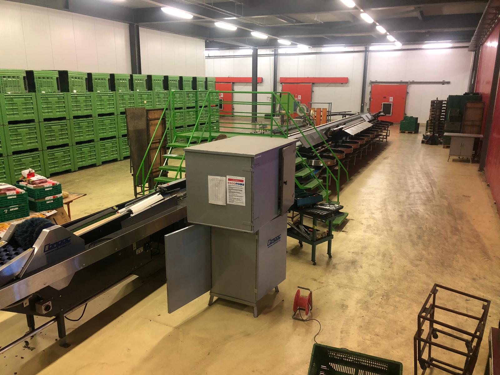 Compac electronic weight grader for apricots and plums