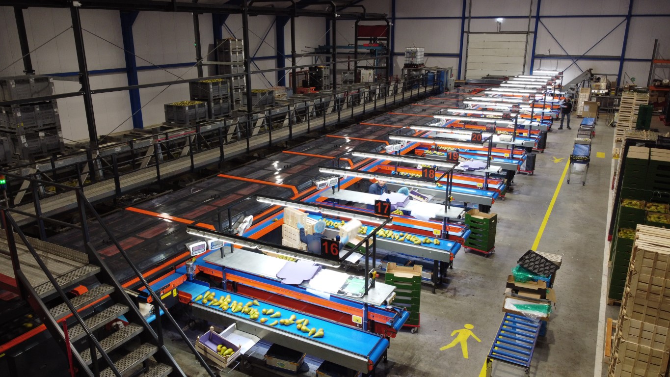 Wamel Perfect Unigrader 8 строк
