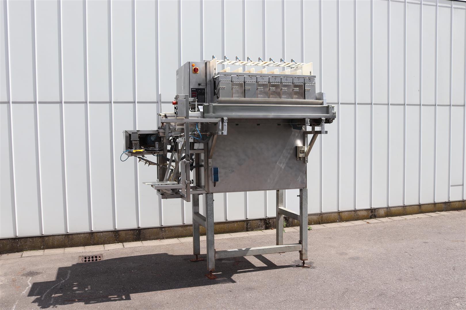 Многоголовочные весы Newtec Type 2008-G45