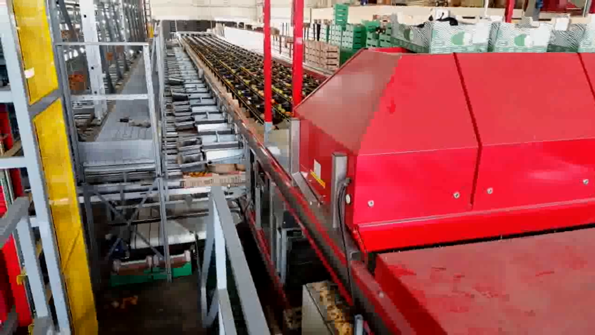Aweta Rollerstar 6-35 Машинa для сортировки томатов в комплекте с 2 паллетайзерами и буфером для коробок