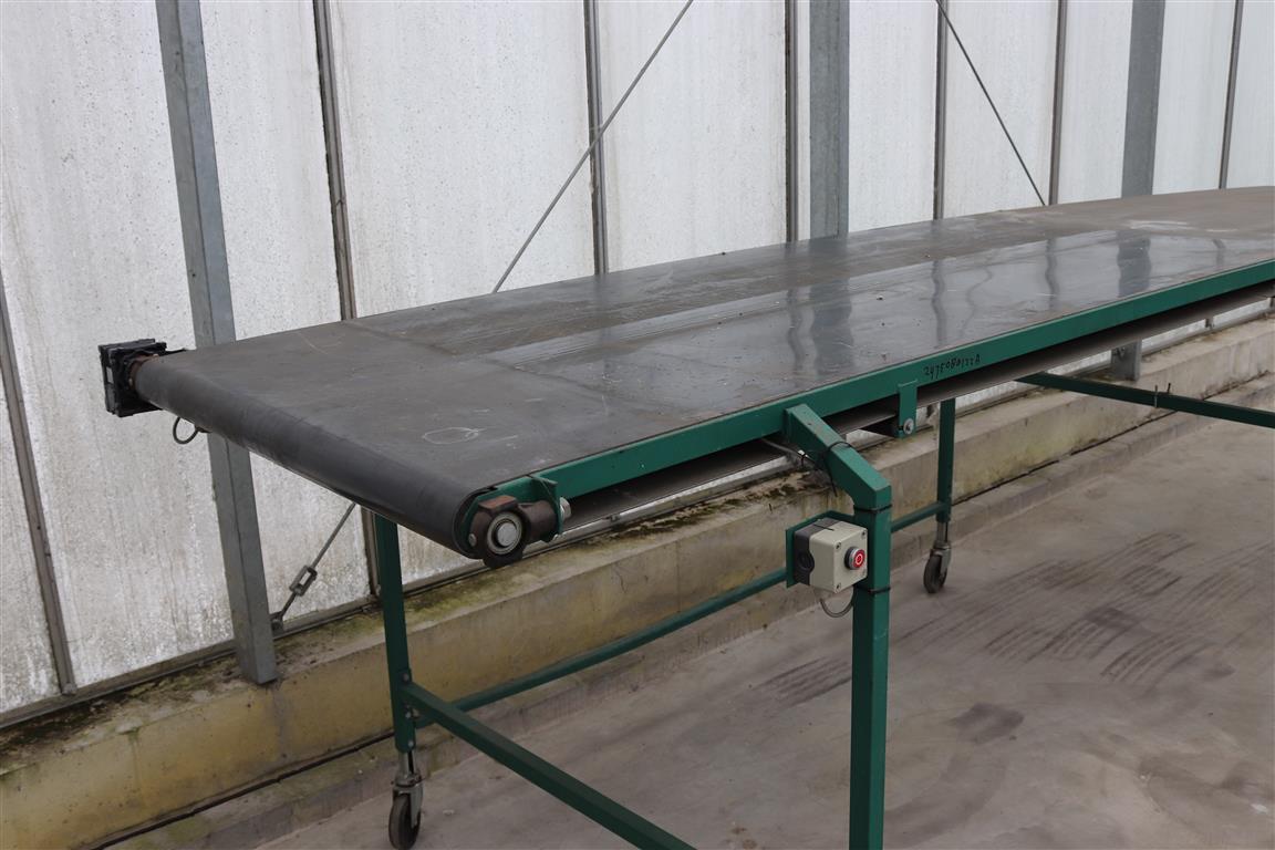Конвейер Olimex 450 x 100 см