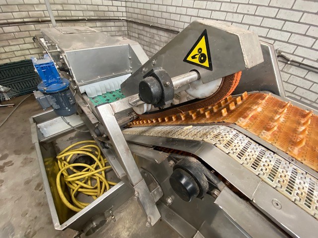 Christiaens Agro Systems fully automatic grading and washing line for asparagus