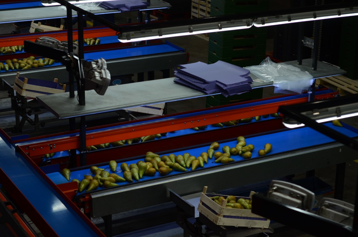 Wamel Perfect Unigrader 8 строк