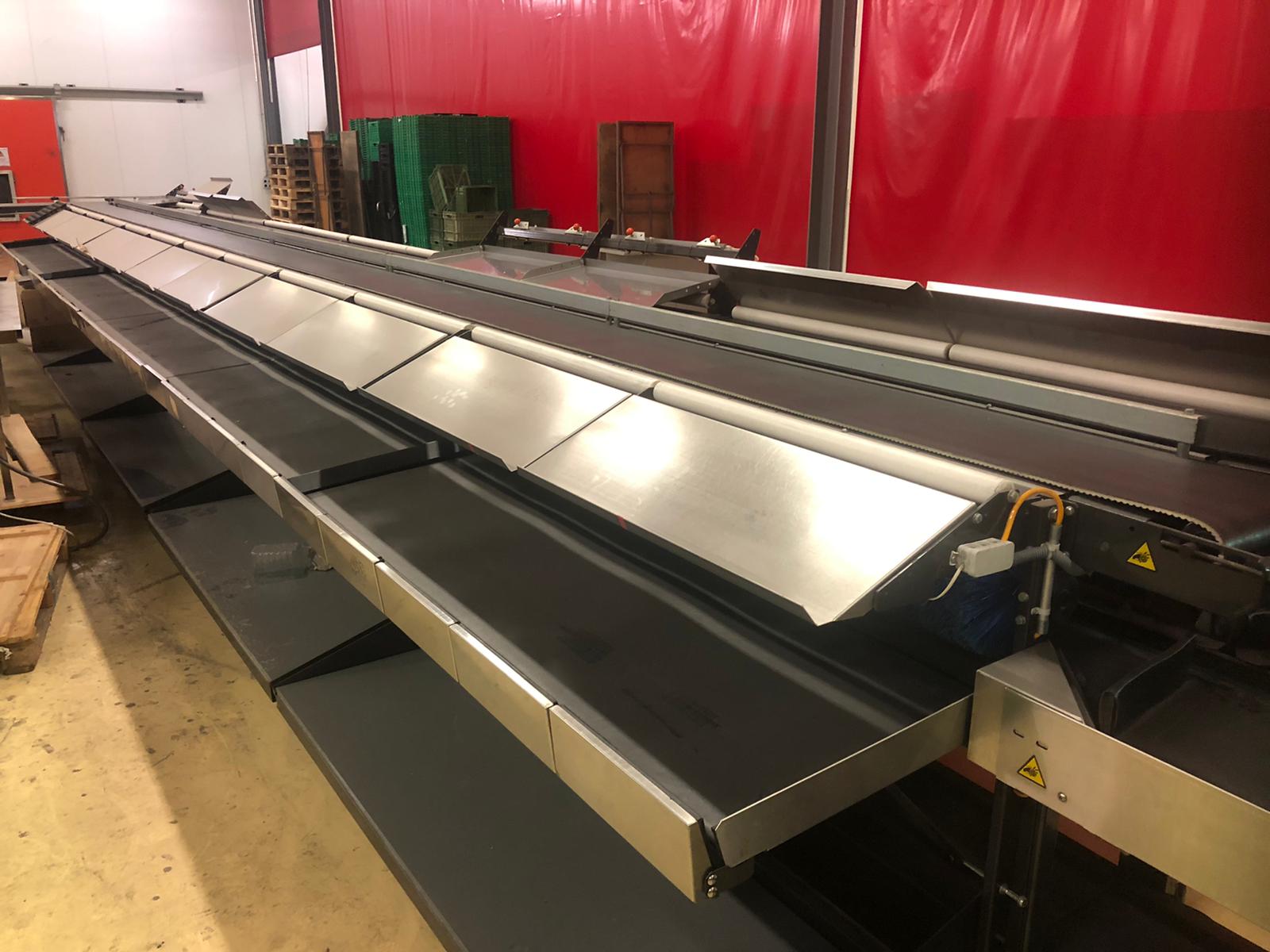 Compac electronic weight grader for apricots and plums