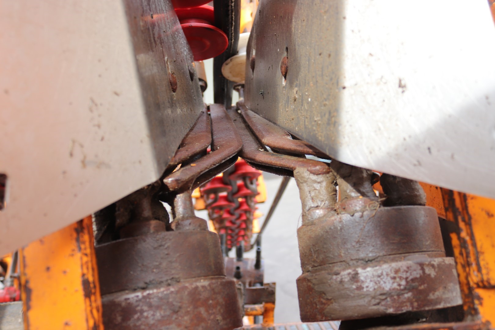 Vecon-RVL carrot harvester 2 rows