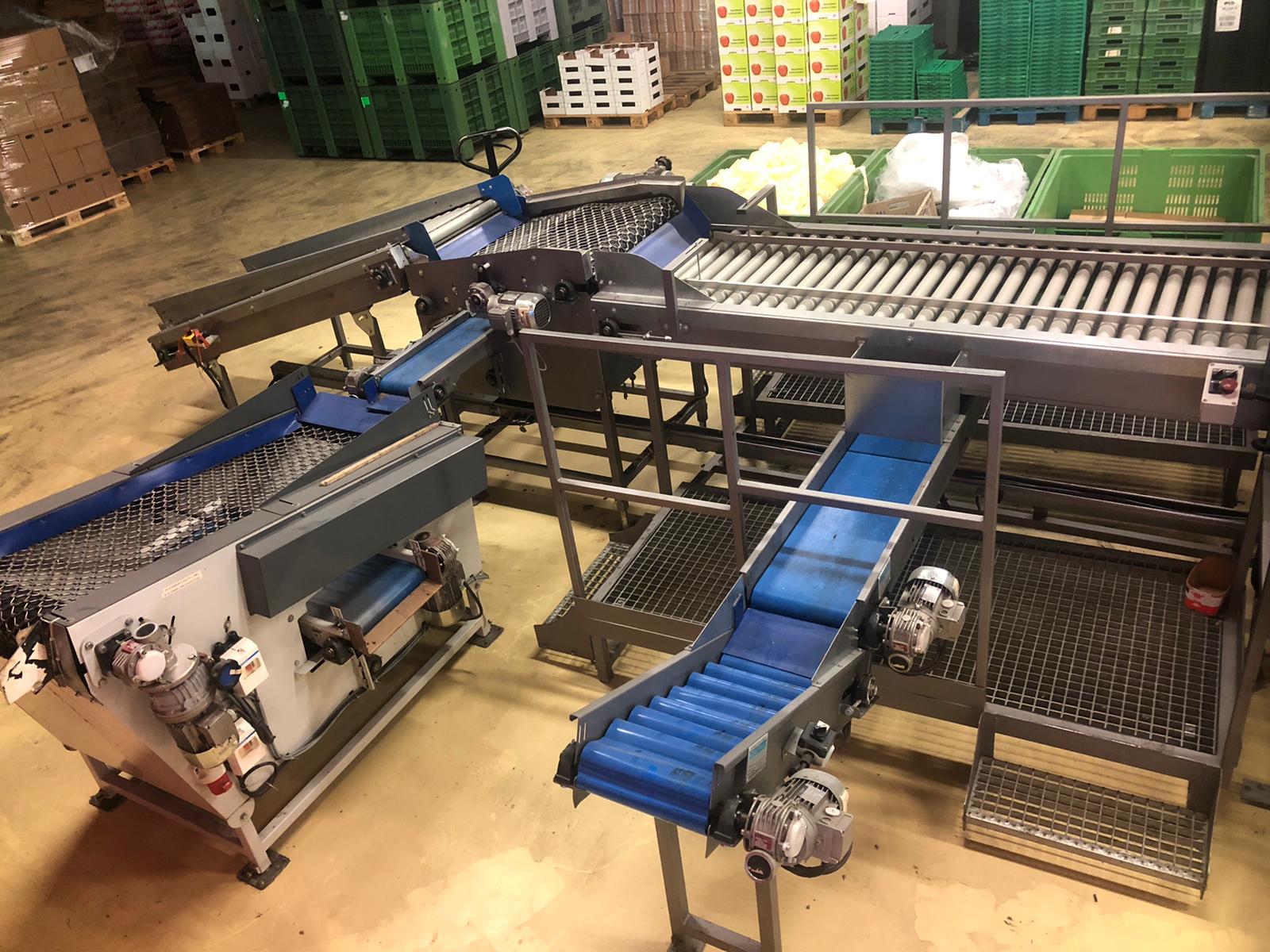 Compac electronic weight grader for apricots and plums