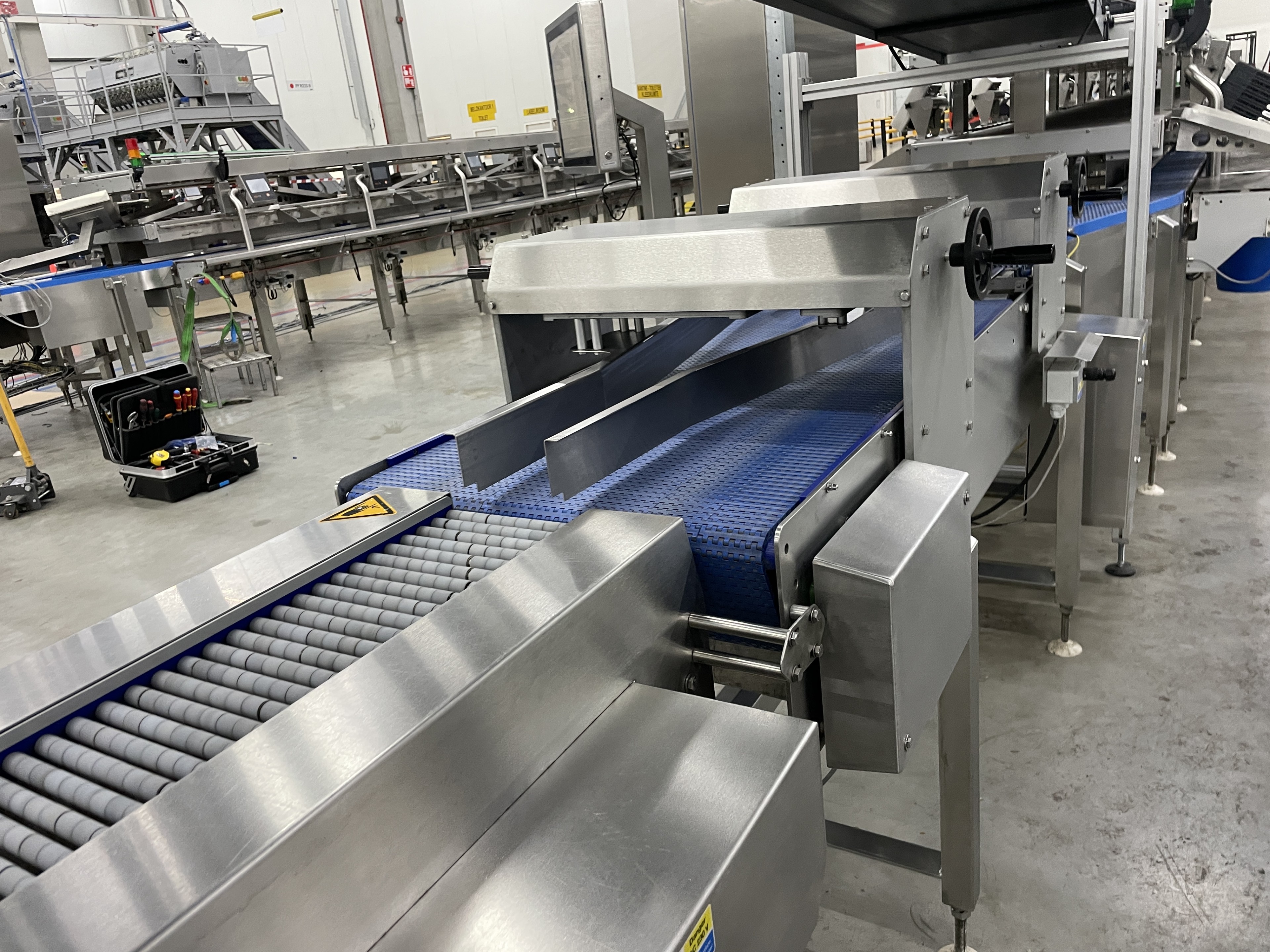 Proseal MC002 + SlipStream Весовая линия с разделителем полос и 14 позициями для взвешивания мягких фруктов.