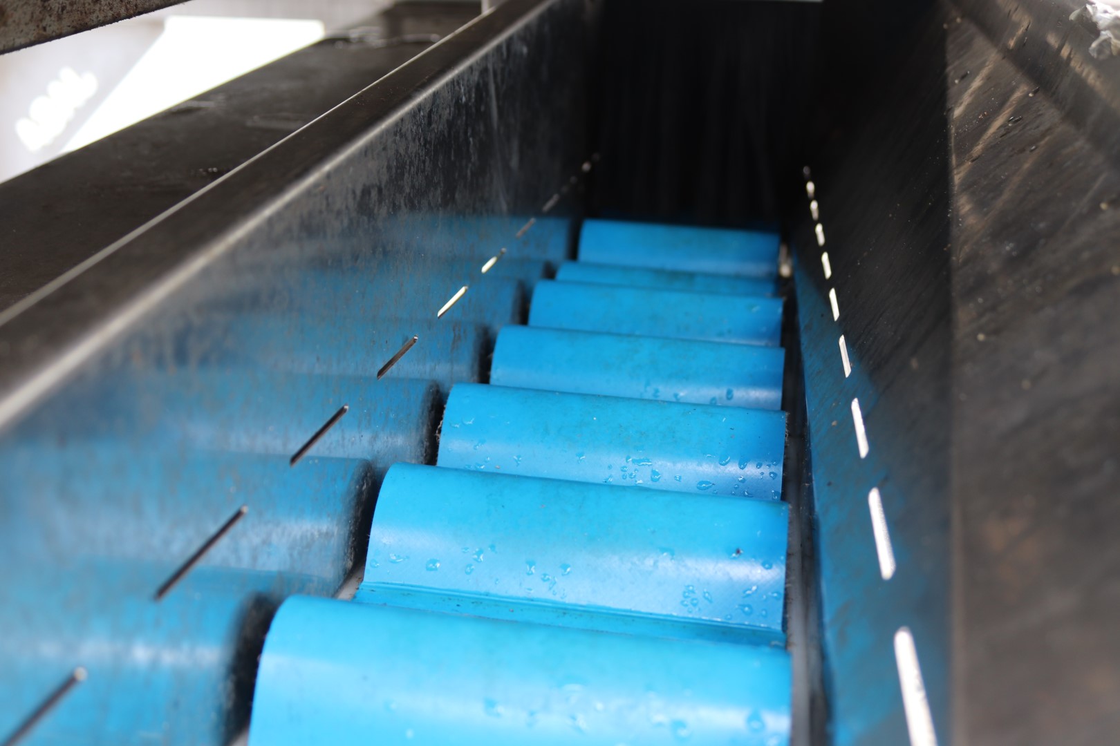 Newtec 14-head weighing machine with supply conveyors