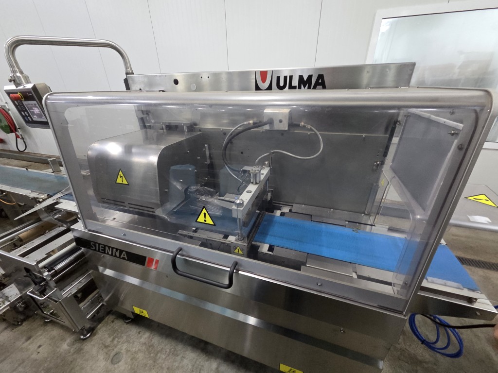 Ulma Sienna LS BI Упаковочная машина флоу-пак (Flow pack) с длинным подающим конвейером