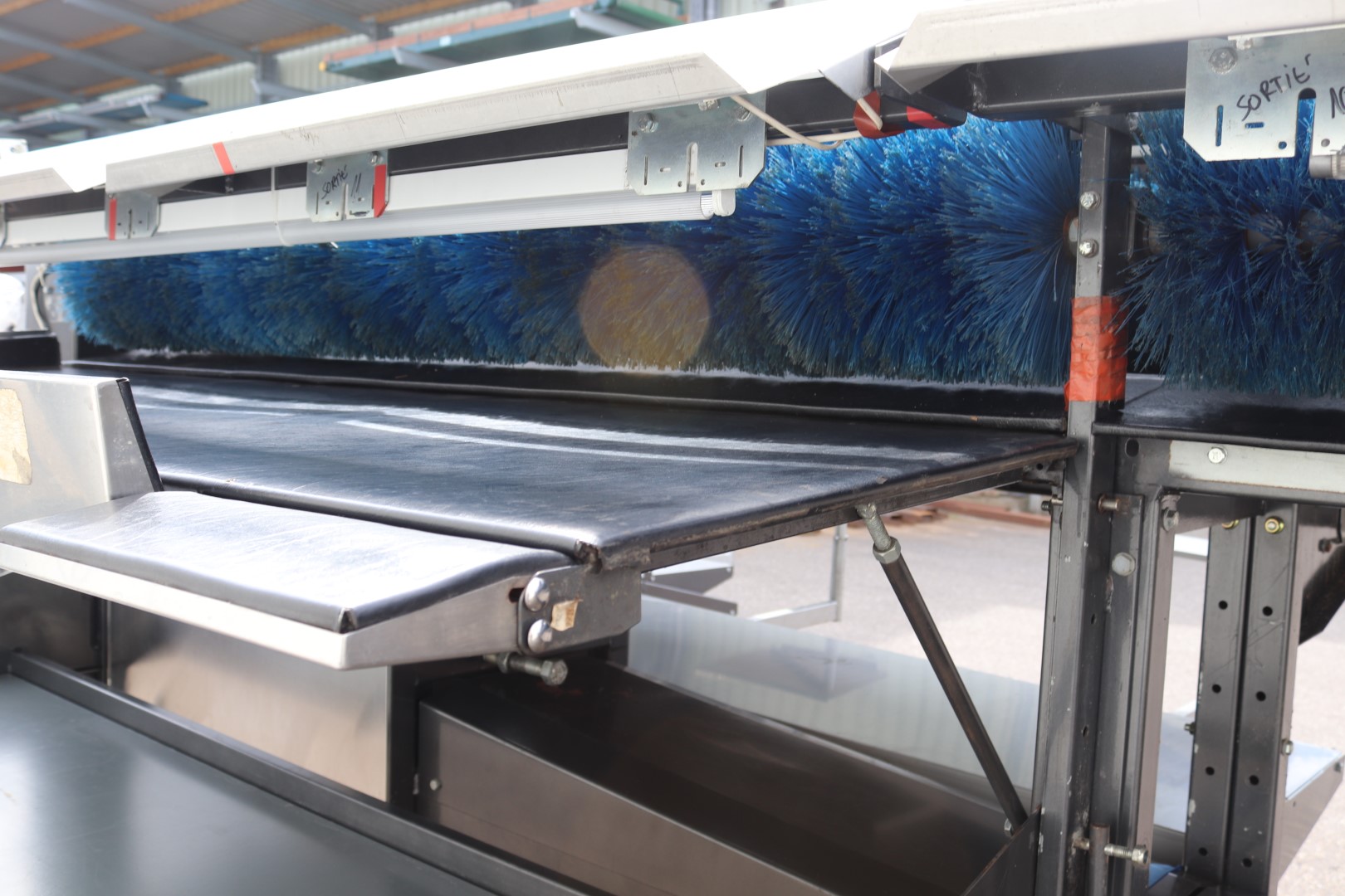 Compac electronic weight grader for apricots and plums