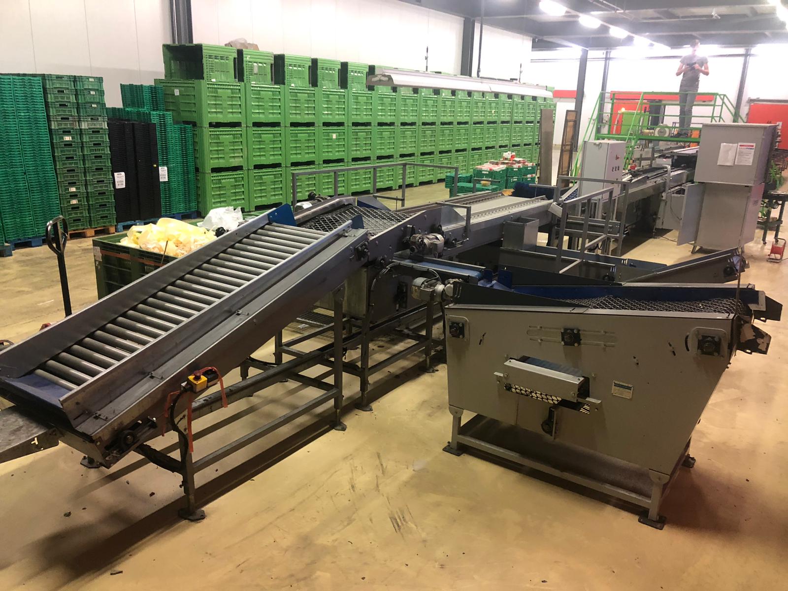 Compac electronic weight grader for apricots and plums
