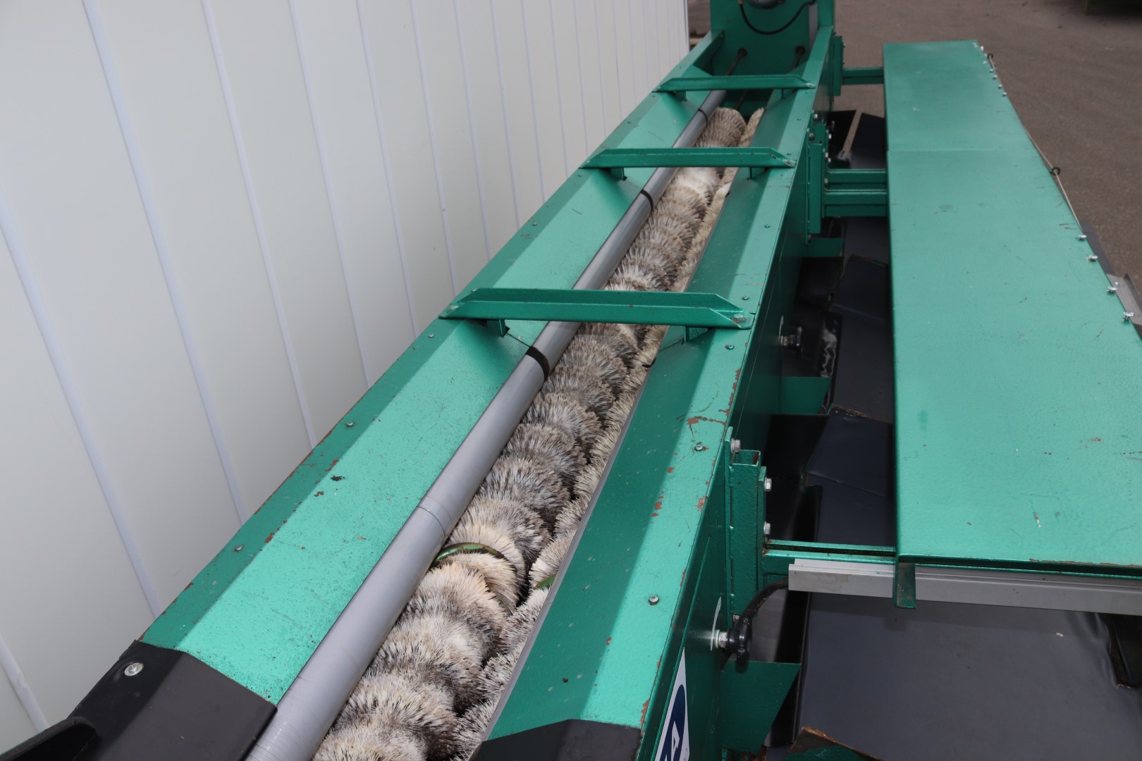 Greefa sorting machine for peppers