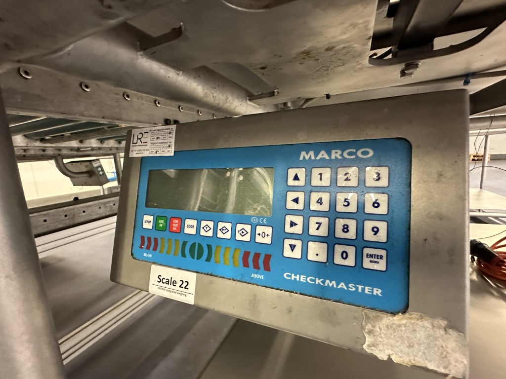 Martin Stolze combi conveyor Производственная и упаковочная линия с 11 рабочими столами Marco с весами