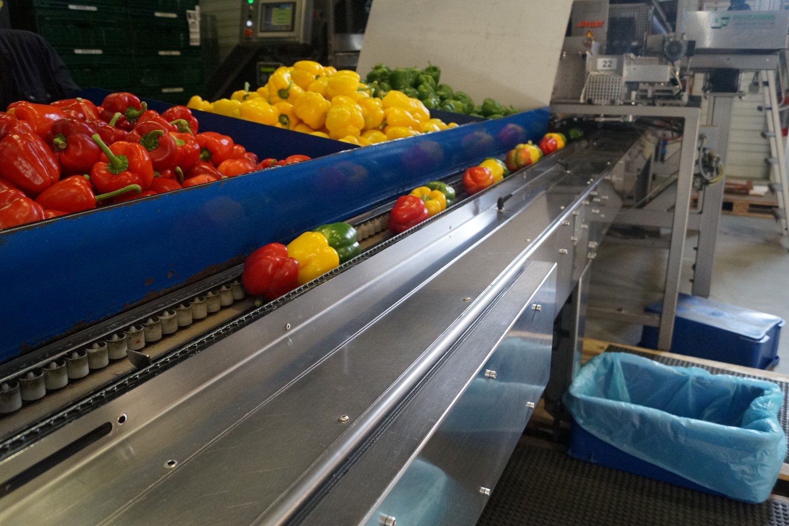 Affeldt weighing machine with GNA flowpacking machine for bell peppers