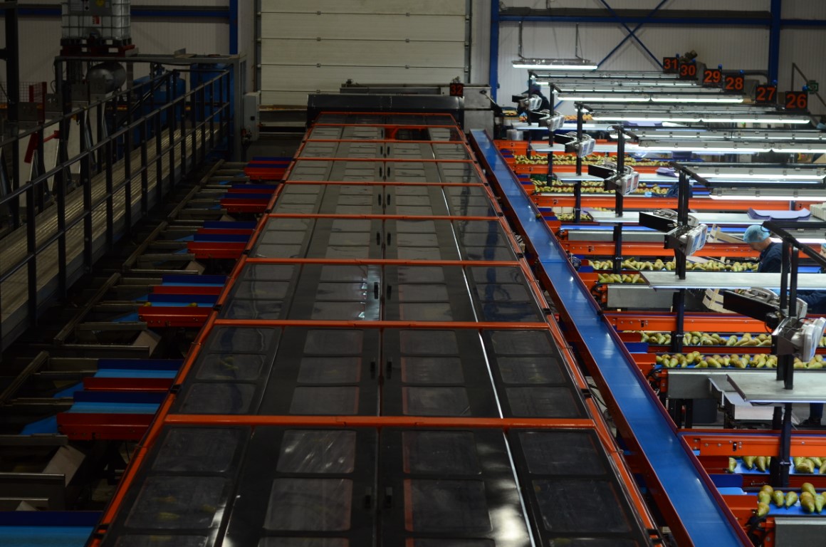 Wamel Perfect Unigrader 8 строк