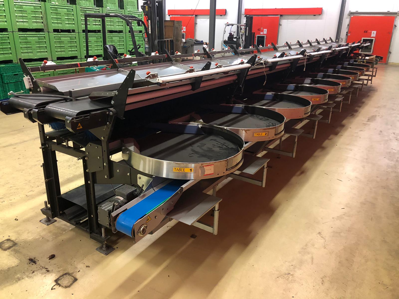 Compac electronic weight grader for apricots and plums