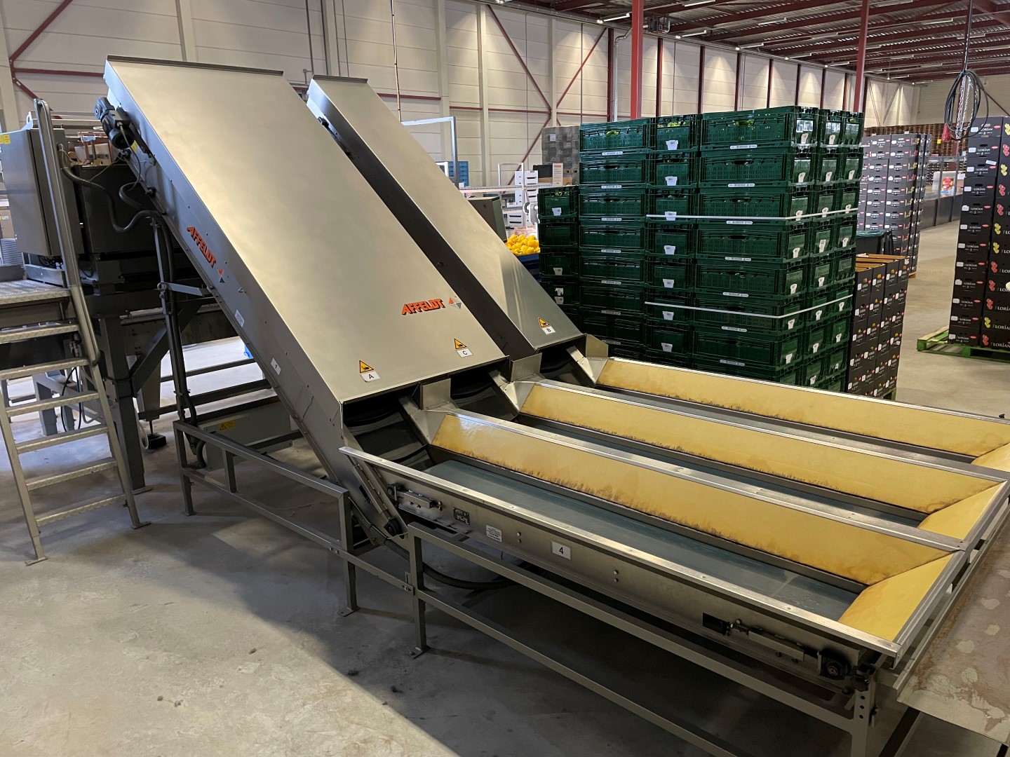 Affeldt weighing machine with GNA flowpacking machine for bell peppers