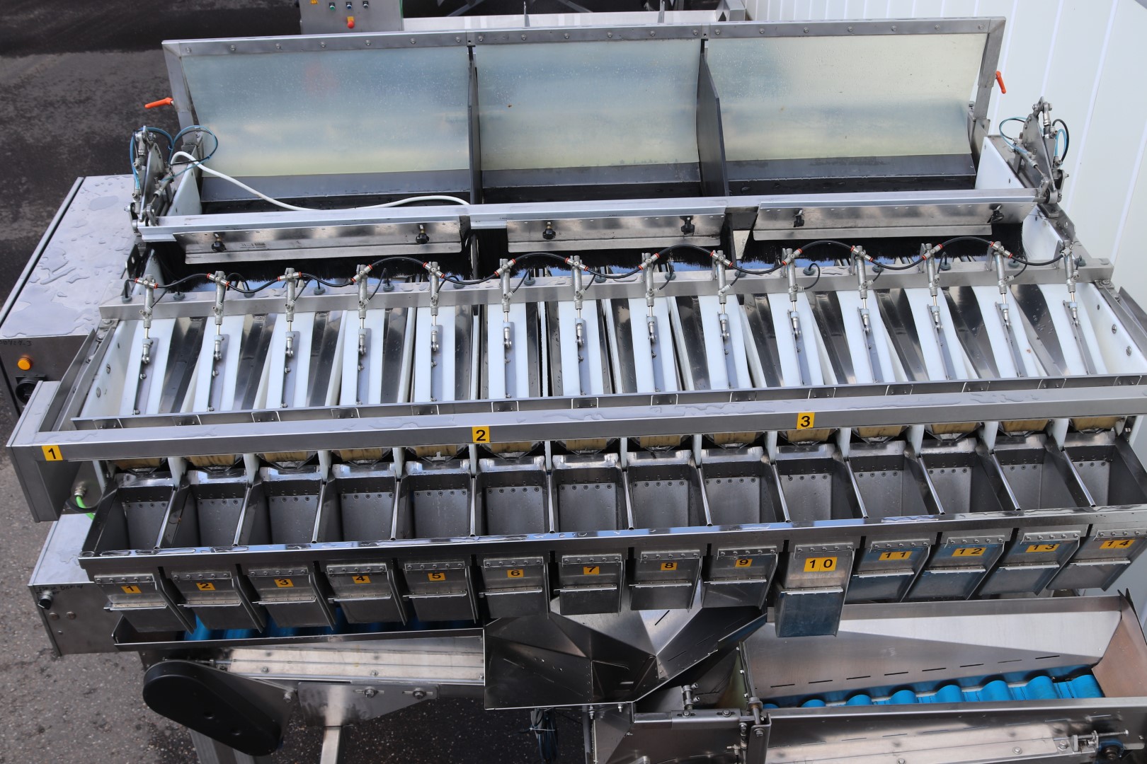 Newtec 14-head weighing machine with supply conveyors