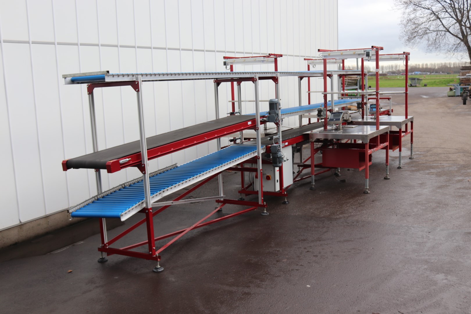 Taks packing line for tomatoes