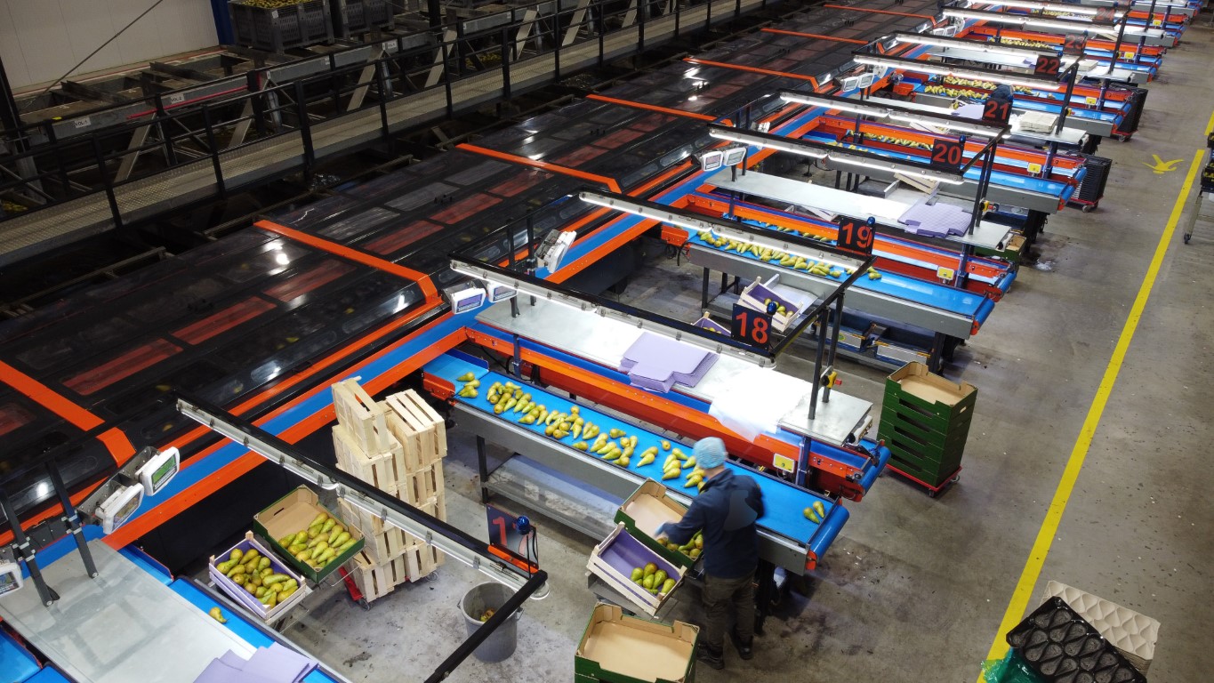Wamel Perfect Unigrader 8 строк