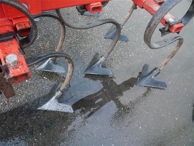 ����������� ����������� Steketee Vibro �� 4 ���� � 5 ����������.