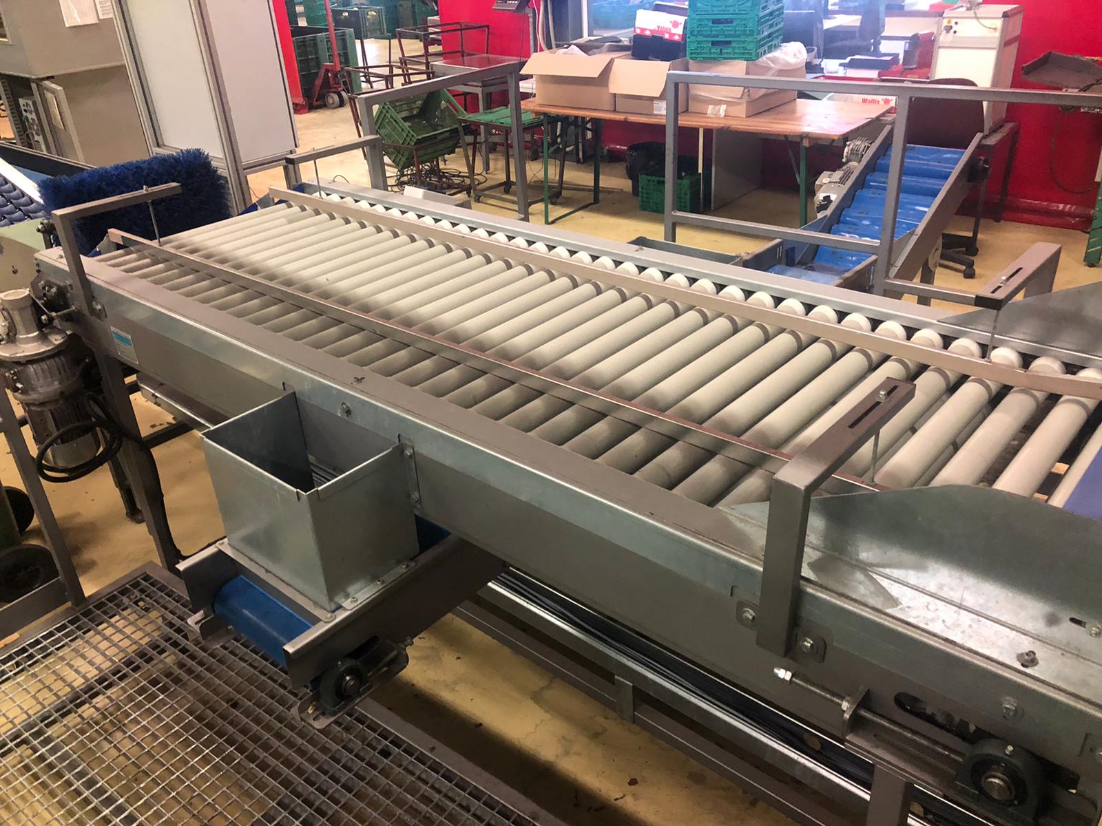 Compac electronic weight grader for apricots and plums