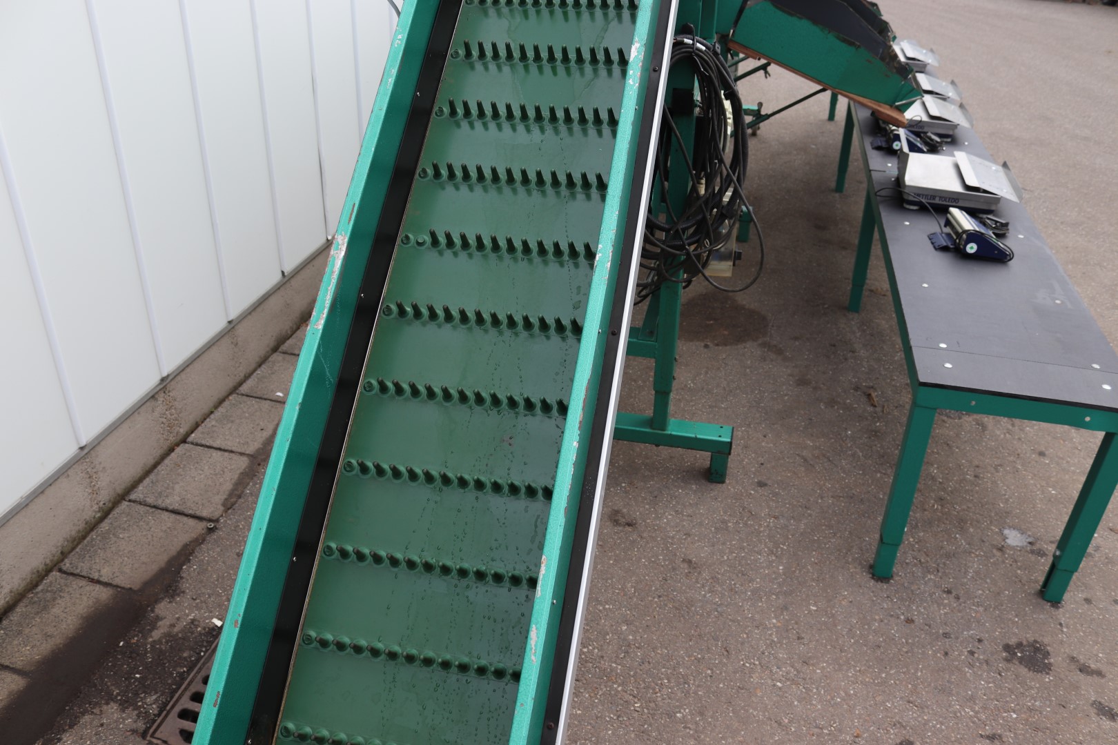 Greefa sorting machine for peppers