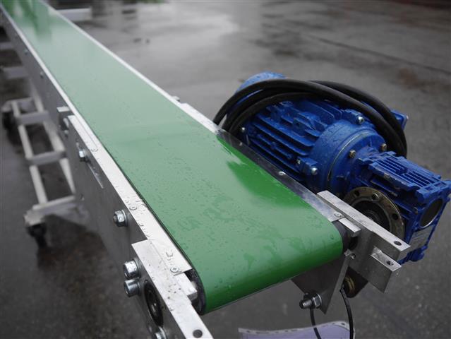 Mayer potplant конвейер. 600 х 15 см с фиксированной скоростью