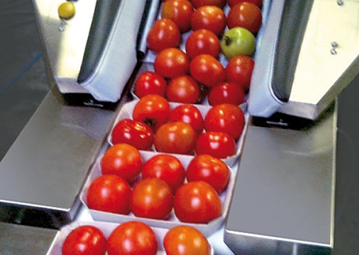������ ��� ���������� ������ Frutmac Jollypack ��� ����������� � �������� � ����������