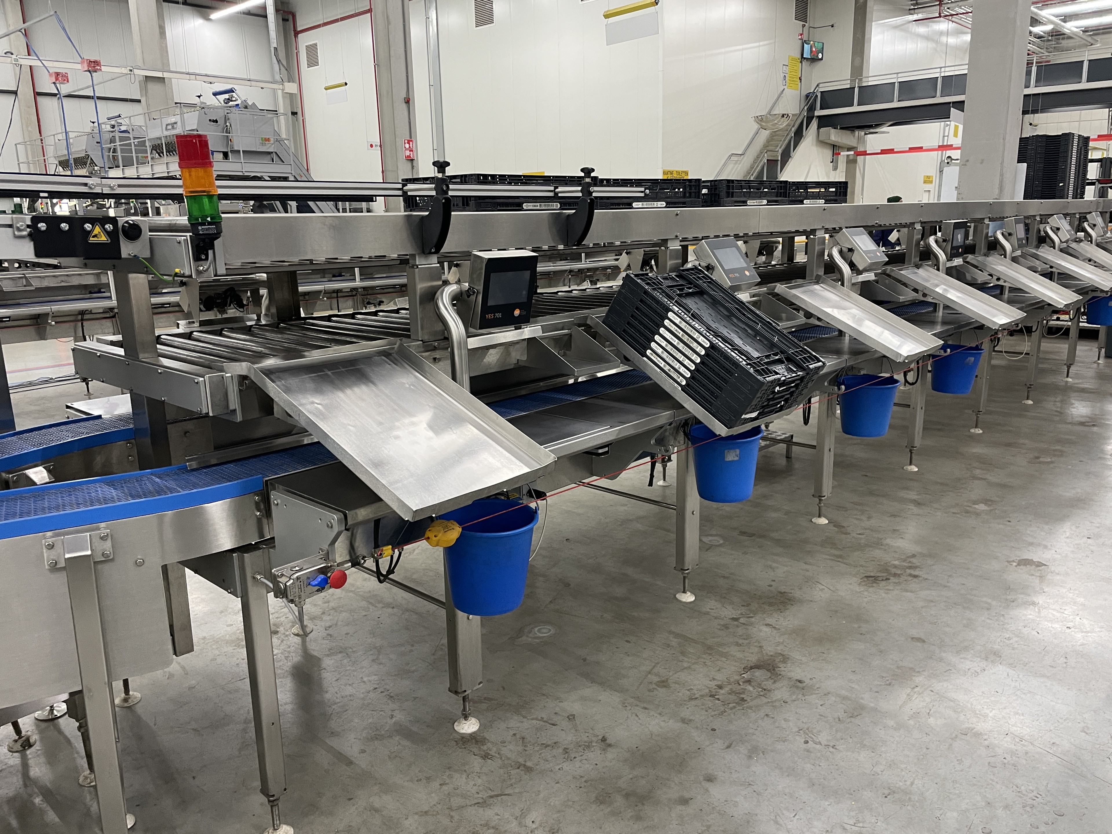 Proseal MC002 + SlipStream Весовая линия с разделителем полос и 14 позициями для взвешивания мягких фруктов.