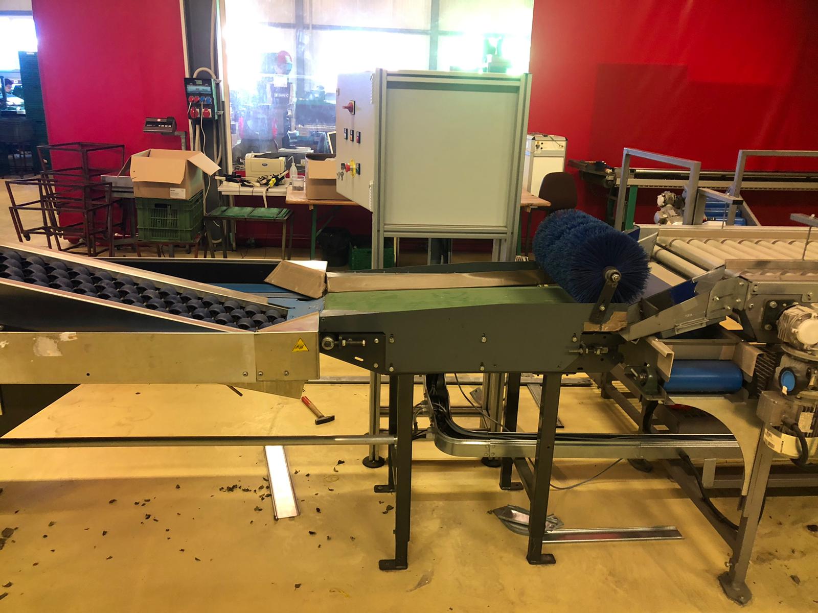 Compac electronic weight grader for apricots and plums