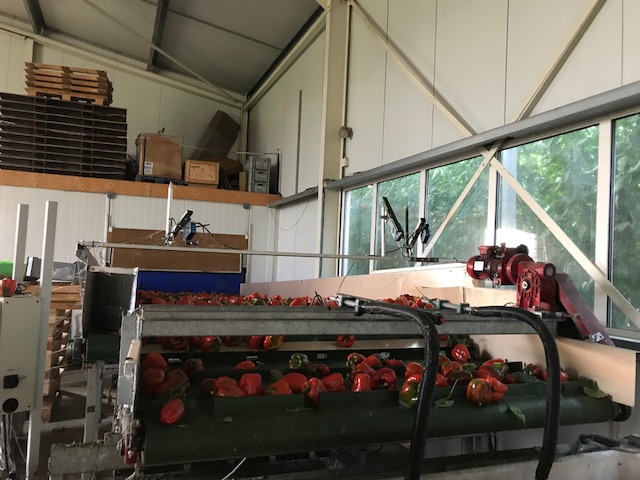 ������� ����� ������ �������� ����� Berg � 15 ��������������� ��������� �� ������������� ������������