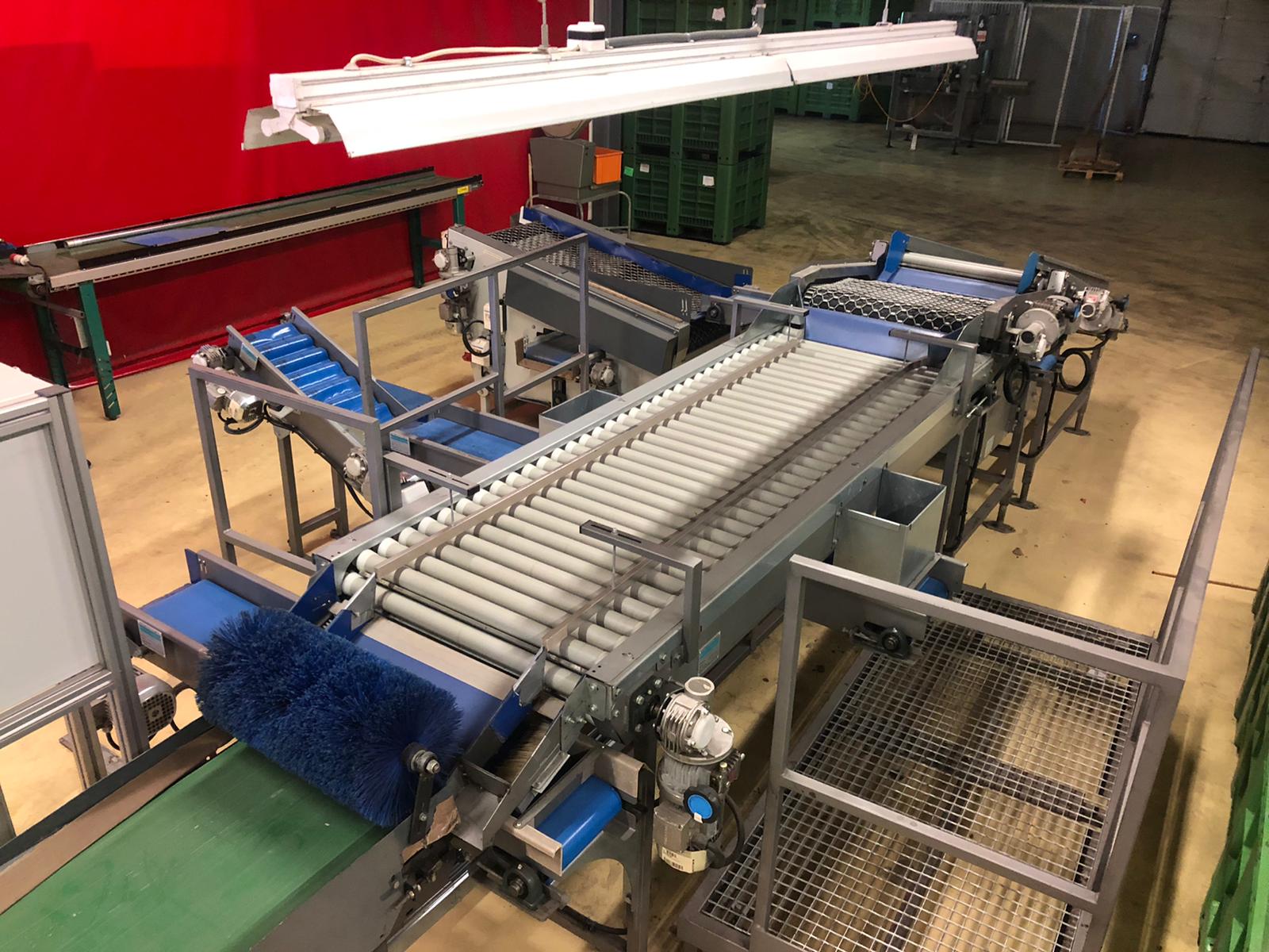 Compac electronic weight grader for apricots and plums