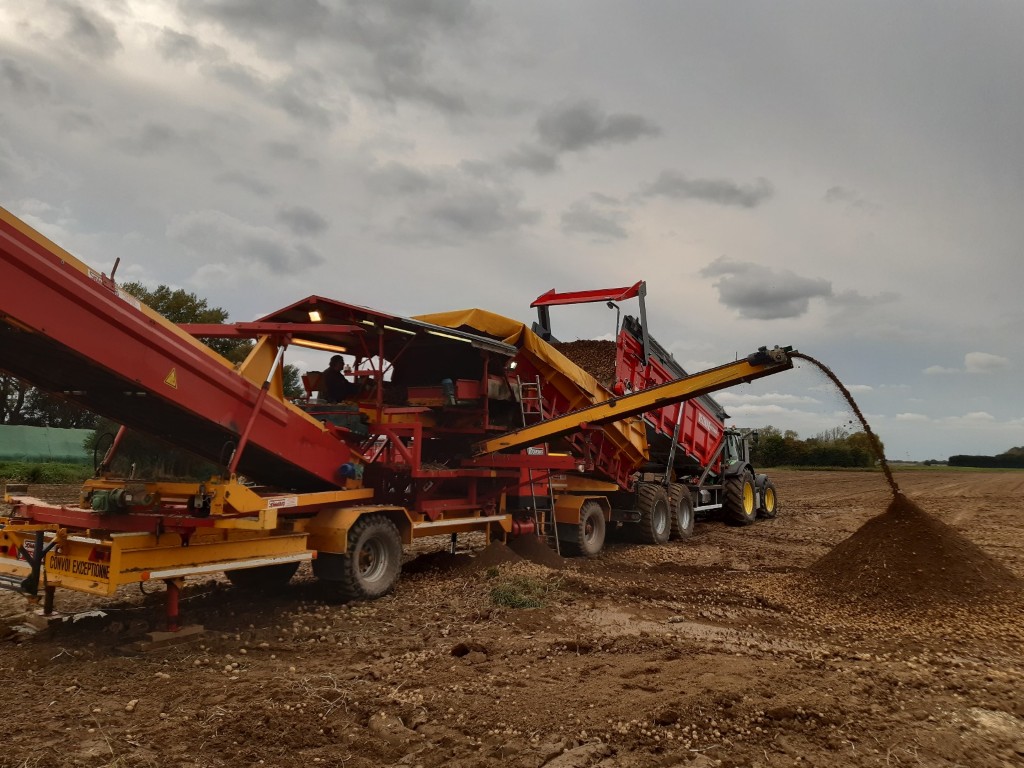 Spinnekop Combine Приемный бункер с очистителем, инспекционным конвейером и подъемником
