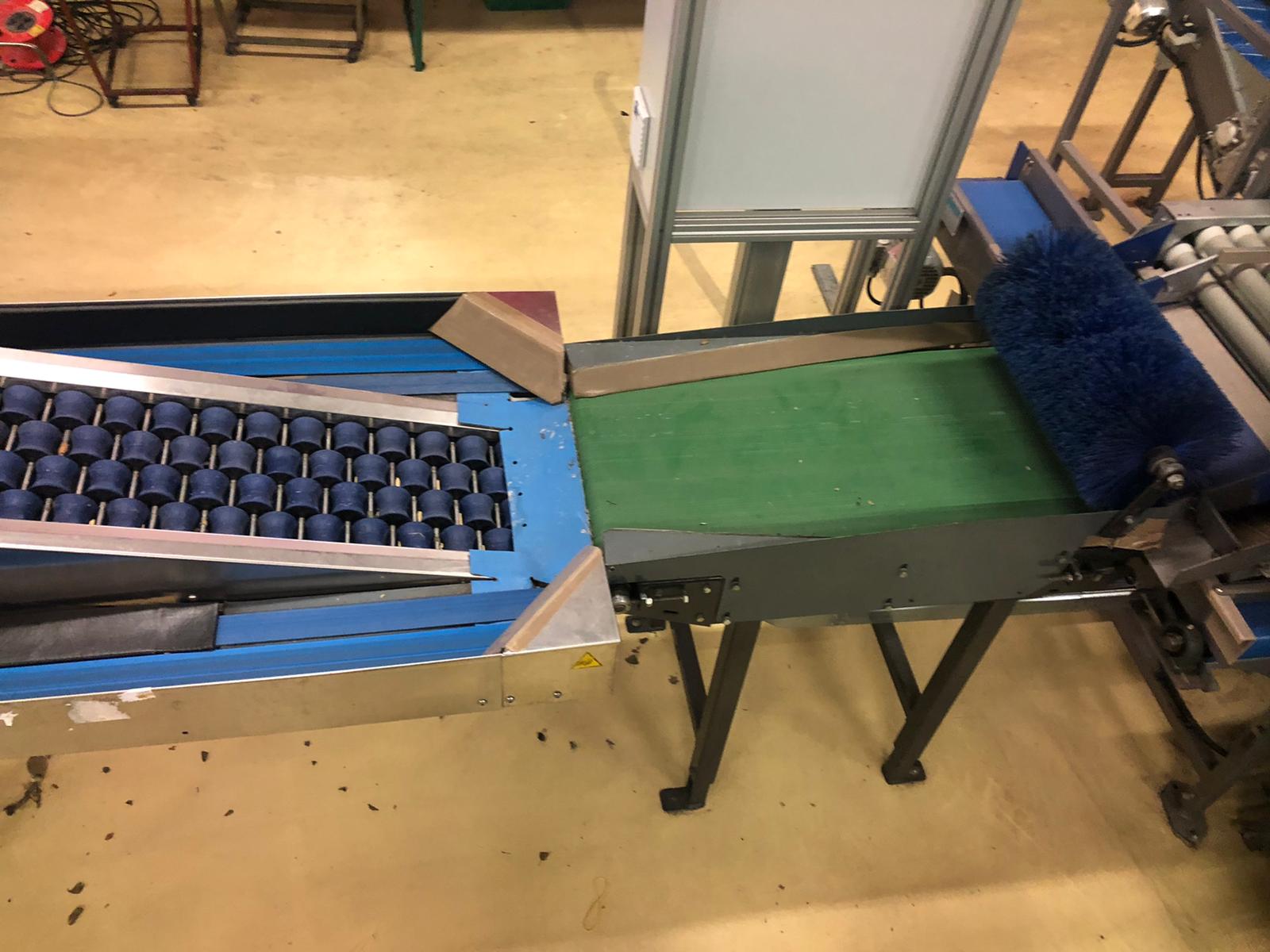 Compac electronic weight grader for apricots and plums