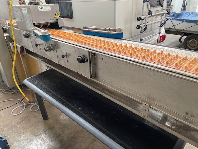 Christiaens Agro Systems fully automatic grading and washing line for asparagus