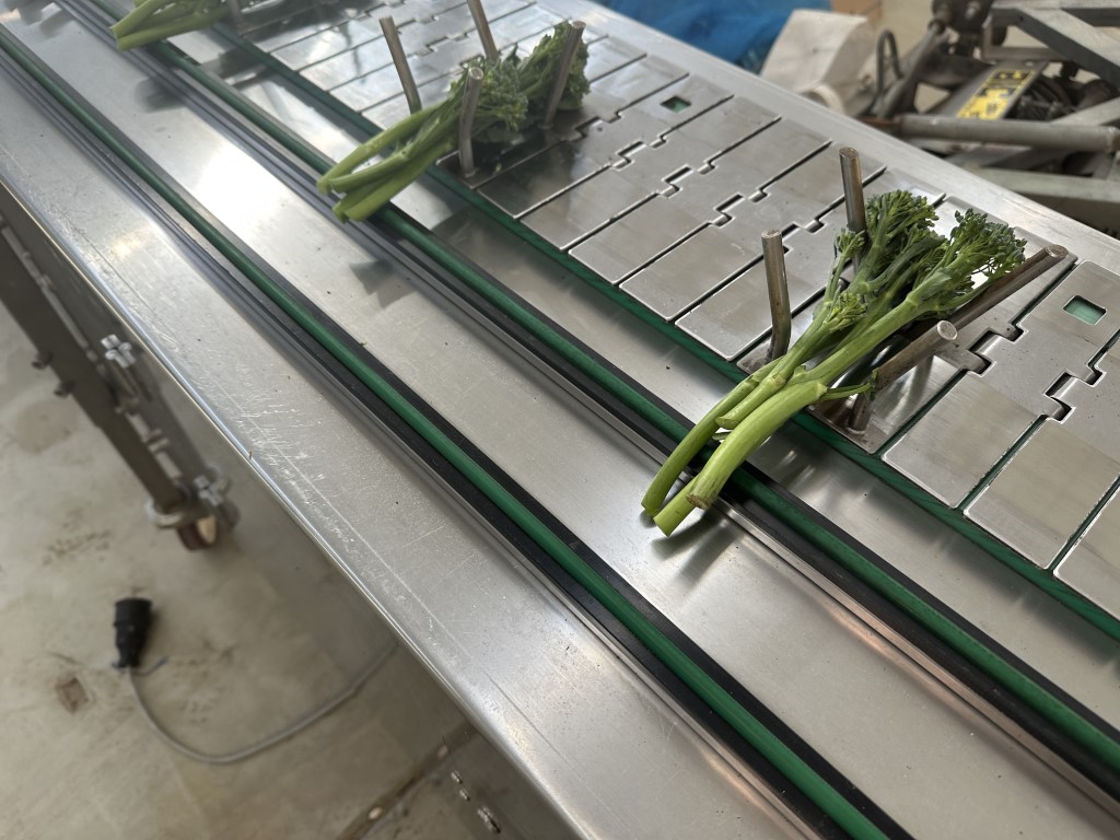 Srotec ������ ��� ������� � ������ ���� � ������