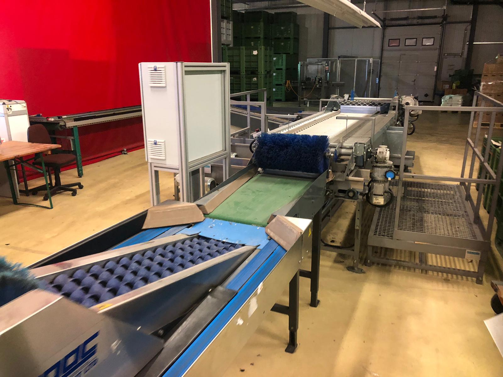 Compac electronic weight grader for apricots and plums