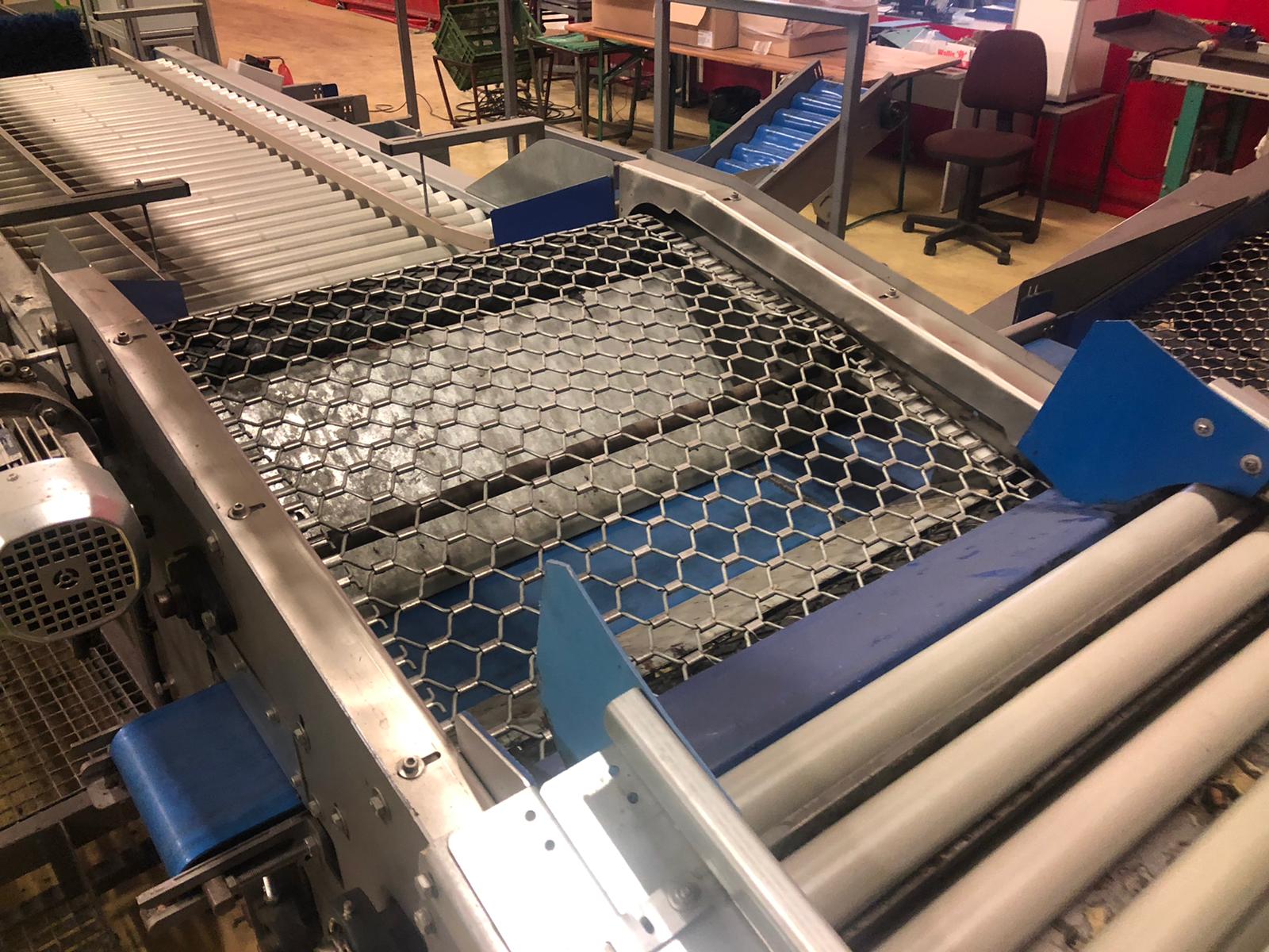 Compac electronic weight grader for apricots and plums
