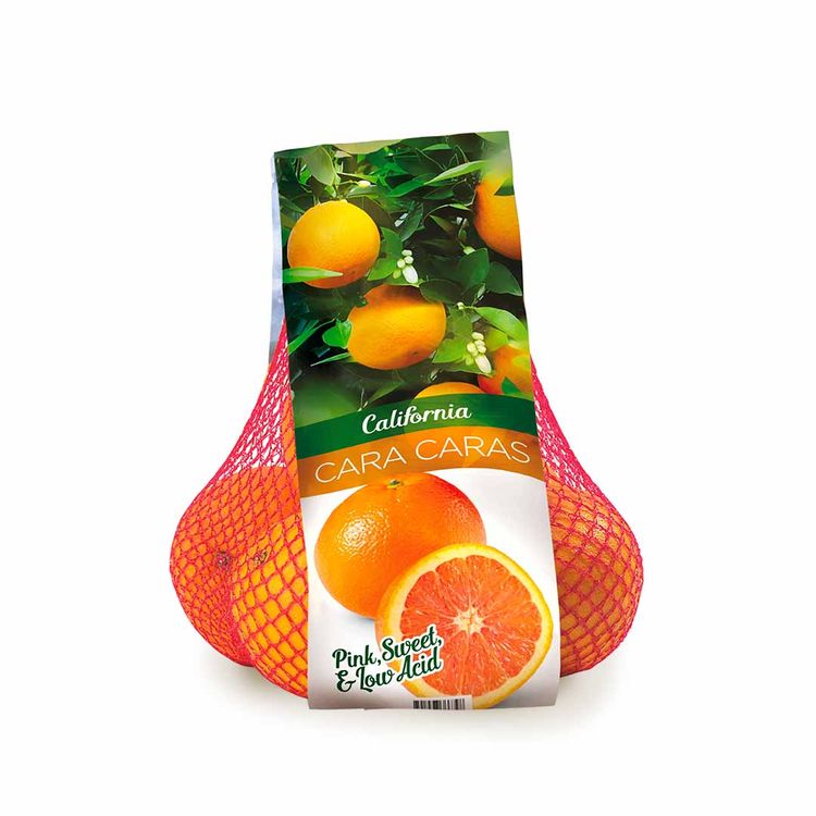Sorma BRS-134 вертикальная упаковочная машина для Girsac, Sormapack и Sormabag