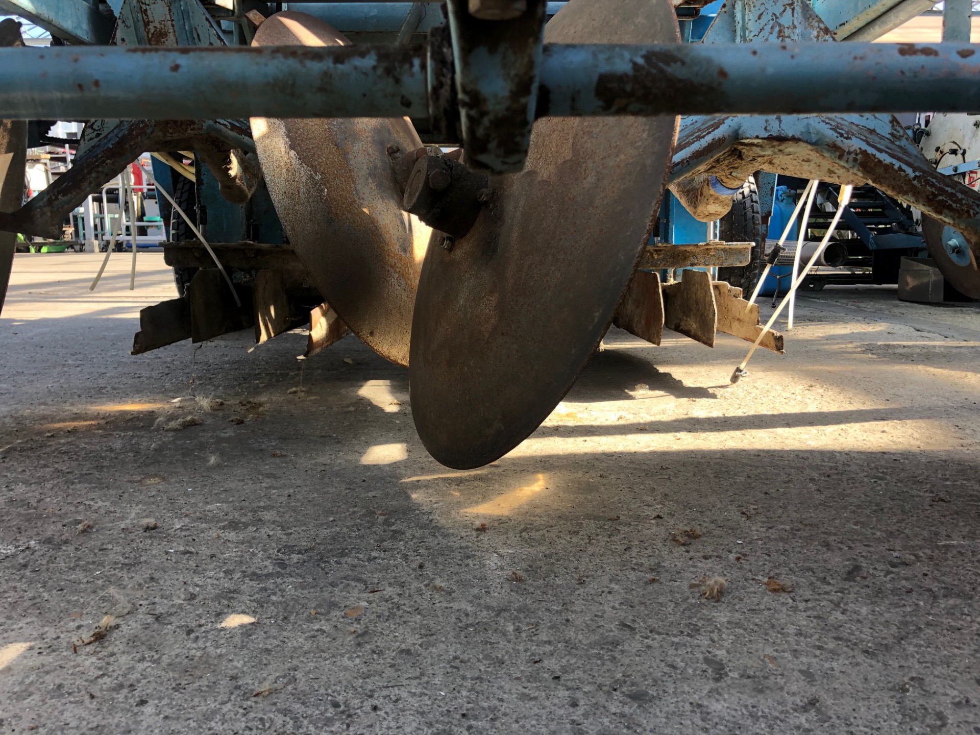 ���������� ������ Koningsplanter 6 ����� ��� ���� � �������