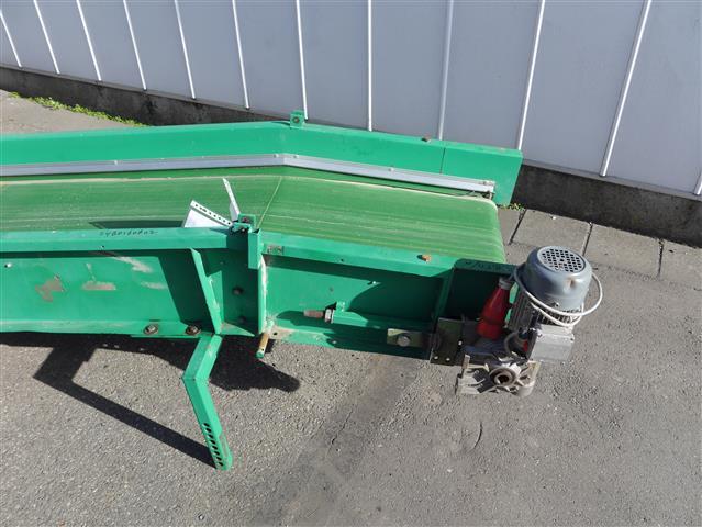 Агрофирма конвейер 500 х 60 см