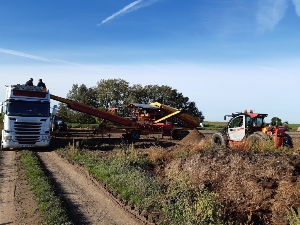 Spinnekop Combine Приемный бункер с очистителем, инспекционным конвейером и подъемником