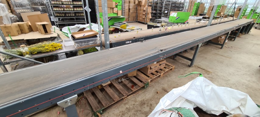 Конвейеры WTT 1220 x 60 см